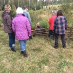 och vidjorna håller slanorna på plats